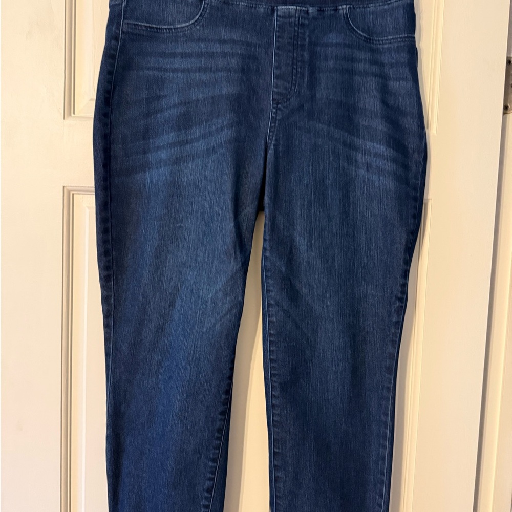 Talbots Dark Blue Women's Jeggings